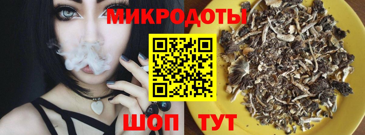 цена наркотик  Вход с VPN  Ишим  Галлюциногенные грибы мицелий 